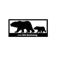 Little Big Marketing Logo