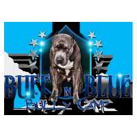 Buff N Blue Bullies Logo