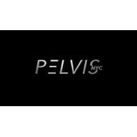 Pelvis NYC - Dr. Adam Gvili PT, DPT Logo