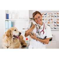 Veterinary Care Group - Whitestone Logo