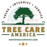 Tree Care America Logo