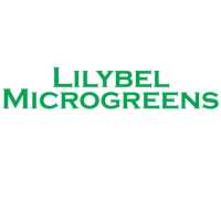 Lilybel Microgreens Logo