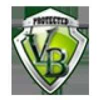 Vizzari Brothers Enterprises Logo