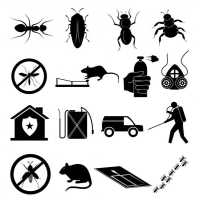 Pest Control Services in Palestine, TX Logo