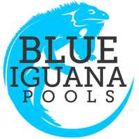 Blue Iguana Pools Logo