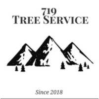 719 Tree & Stump Removal Logo