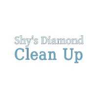 Shy's Diamond Clean Up Logo