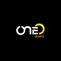 One O Cricket Logo