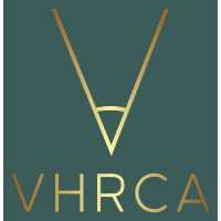 Visionary Home Remodeling Logo