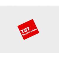 The Steam Team/TST Restoration Logo
