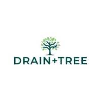 Drain + Tree Logo