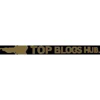 Top blogs hub Logo