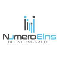NumeroEins Software Private Limited Logo