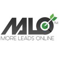More Leads Online Logo