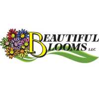 Beautiful Blooms, LLC Logo