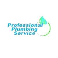 Professional Plumbing Service Logo