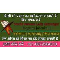 Solution For Your All Problems in Just 24 Hours Logo