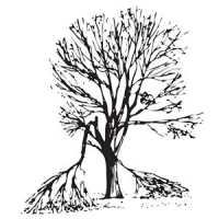 Broken Limb Tree Services Logo