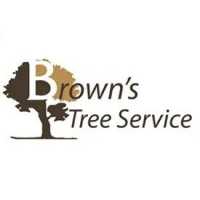 Tree Service Experts Arlington Logo
