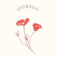APOMSoul Logo
