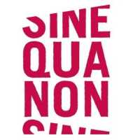 Sine Qua Non Salon Logo