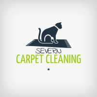 Hippo Carpet Cleaning of Severn Logo