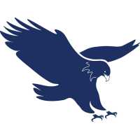 Eagle Air Service, Inc Logo