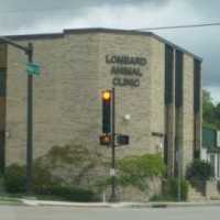 Lombard Animal Clinic, P.C. Logo
