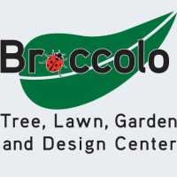 Broccolo Tree and Lawn Care Logo