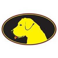 Yellow Dawg Line StripingÂ® of Connecticut Logo