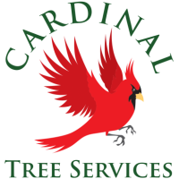 Cardinal Tree Services Logo