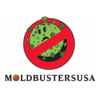 Mold Busters New Mexico Logo