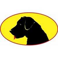 Black Dawg SealcoatÂ® of Merrimack Valley and Seacoast Logo