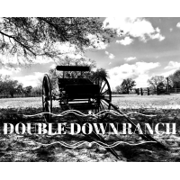 Double Down Ranch Logo