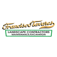 Francisco Tavares Inc Logo