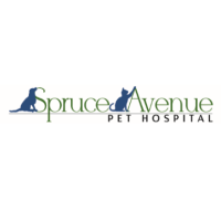 Spruce Avenue Pet Hospital Logo