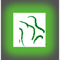 TLC-CrossCare Clinic, LLC Logo
