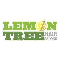 Lemon Tree Hair Salon Huntington Logo