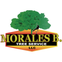 Morales Brothers Tree Service, LLC Logo