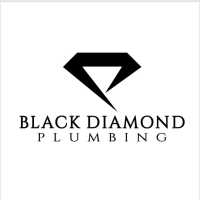 Double Diamond Plumbing & Drain Logo