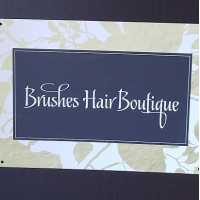 Brushes Hair Boutique LLC Logo