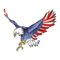 PIC-US-AMERICA.com Logo