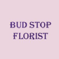 Bud Stop Florist Logo