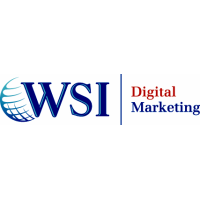 WSI Net Advantage Logo