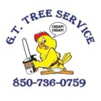 G T Tree And Outdoor Services LLC Logo