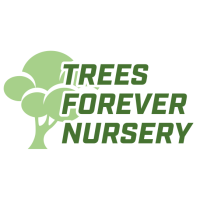 Trees Forever Nursery Logo