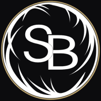 Salon on Barry Logo