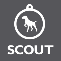 The SCOUT Agency Logo