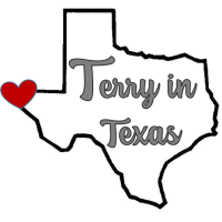 Terry In Texas Logo