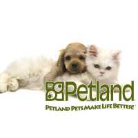 Petland Frisco Logo